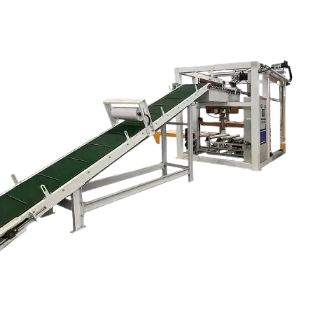 High_level_Palletiser_with_claw_system_with conveyor