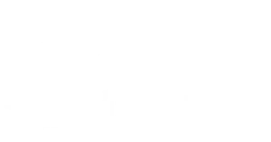 Logo white