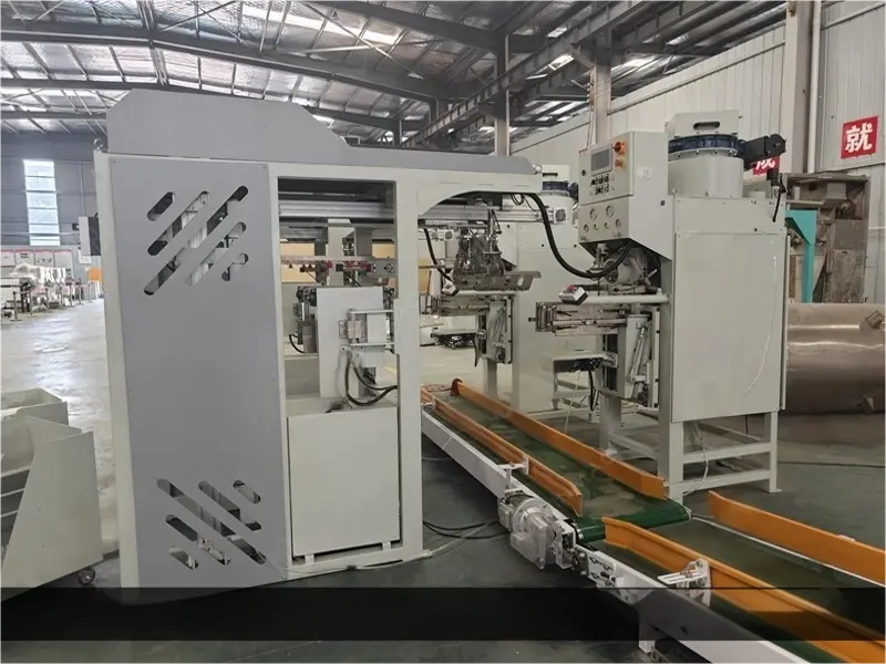 Automatic bag placer for packing machine left front side view