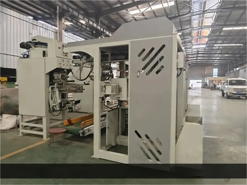 Automatic bag placer for packing machine right side view