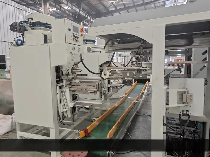 Automatic bag placer for packing machine 18