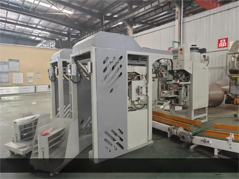 Automatic bag placer for packing machine 19