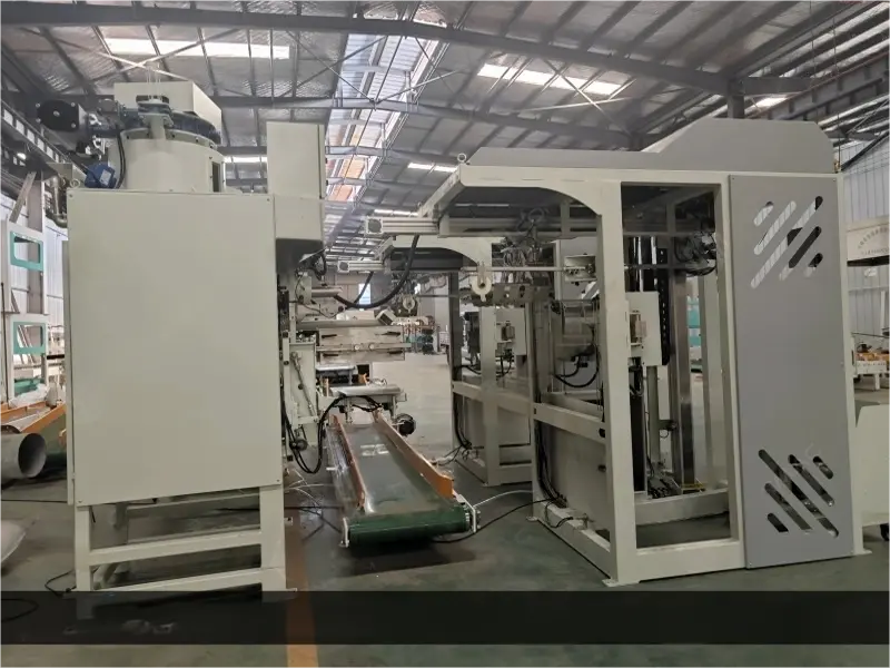 Automatic bag placer for packing machine 21