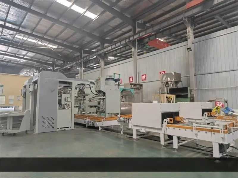 Automatic bag placer for packing machine 22