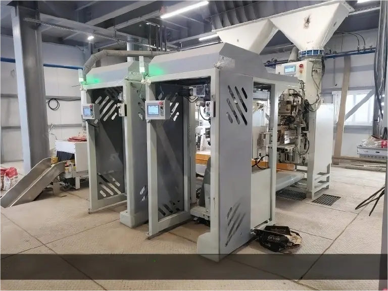 Automatic bag placer for packing machine 4