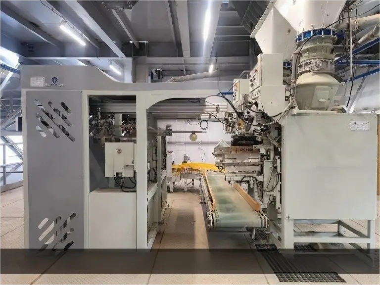 Automatic bag placer for packing machine