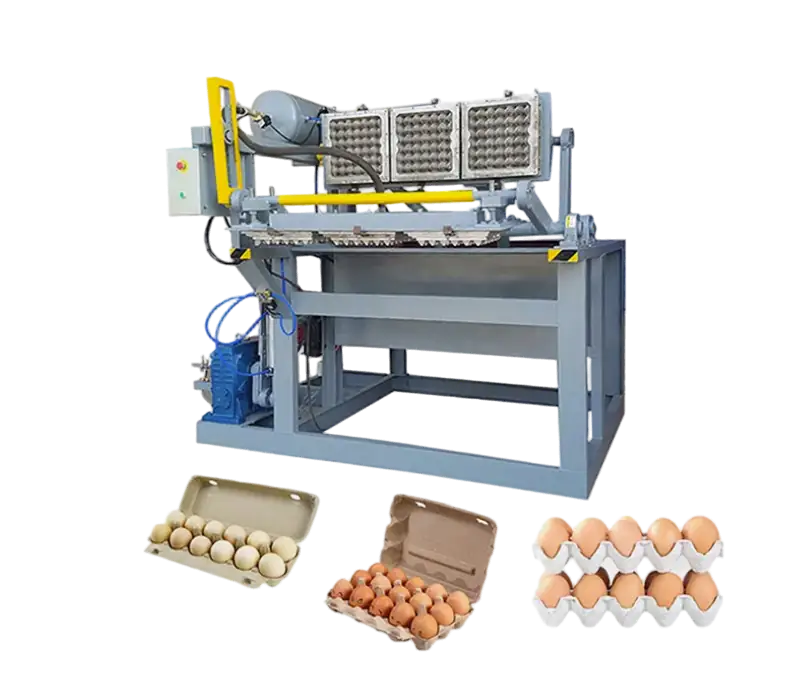 Egg Tray Manufacturing Machine