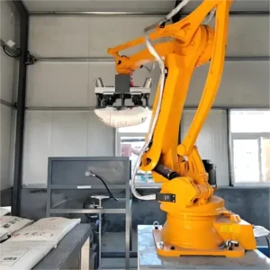 Robotic Arm Debagging Machine
