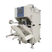 Valve Bag Filling Machine side view